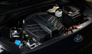 Kia e-Niro lleno