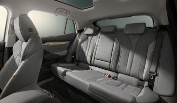 Skoda Enyaq Coupé iV lleno