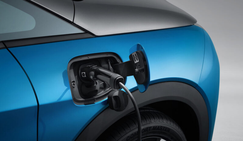 BYD Dolphin lleno