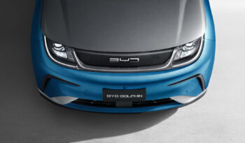 BYD Dolphin lleno
