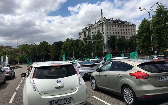 V MARCHA DEL VE 2018 por las calles de Madrid - Foto AUVE