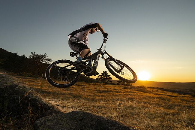 Bewatt Mountain Wolf bicicletas electricas