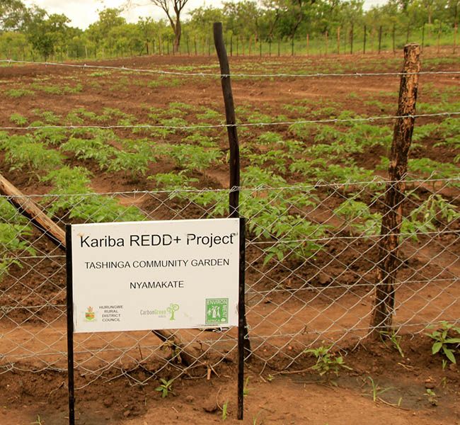 Kariba REDD+ 