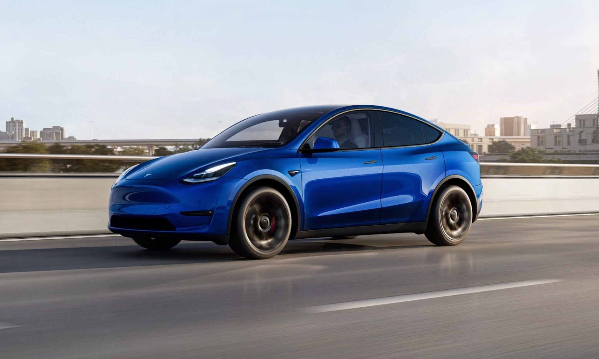 model y