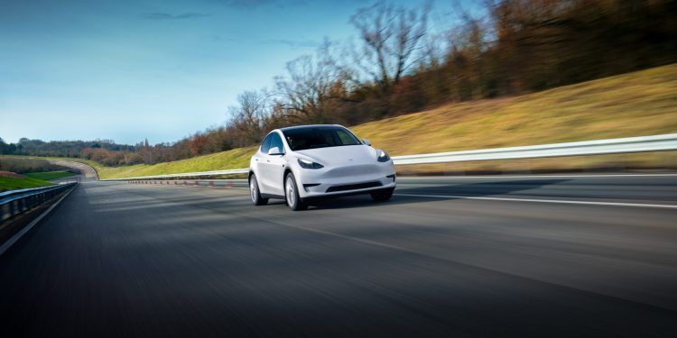 model y