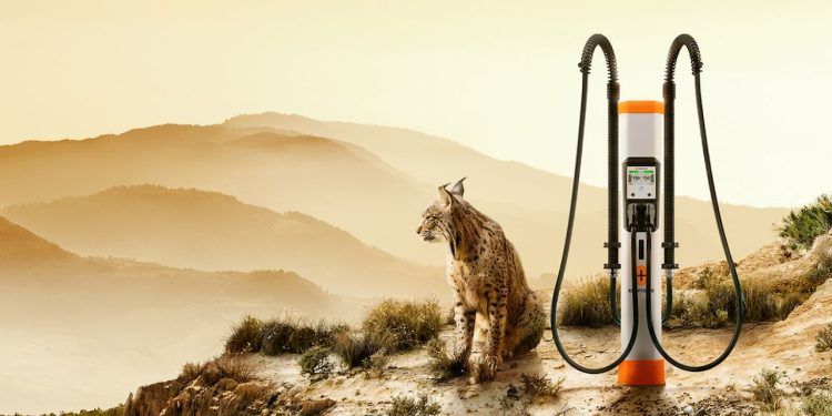 Punto de recarga para coches eléctricos